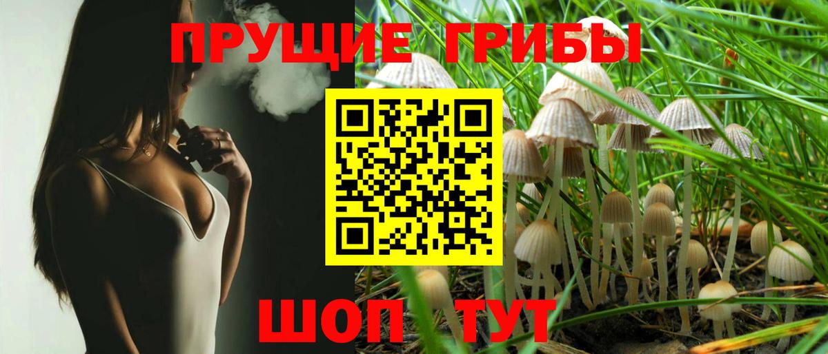 Псилоцибиновые грибы мицелий Новоуральск