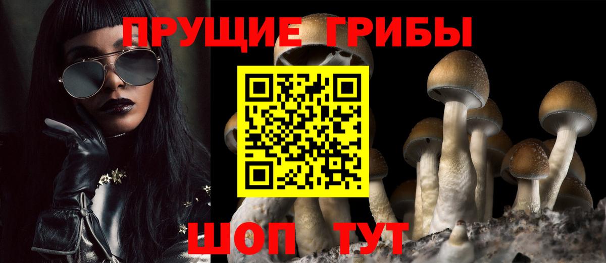 Псилоцибиновые грибы Psilocybe  Вход с VPN  Галлюциногенные грибы мицелий  Новоуральск 